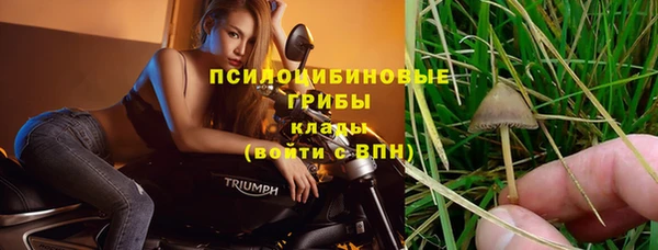 соль курить ск Новодвинск