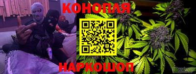 прущие грибы Малгобек