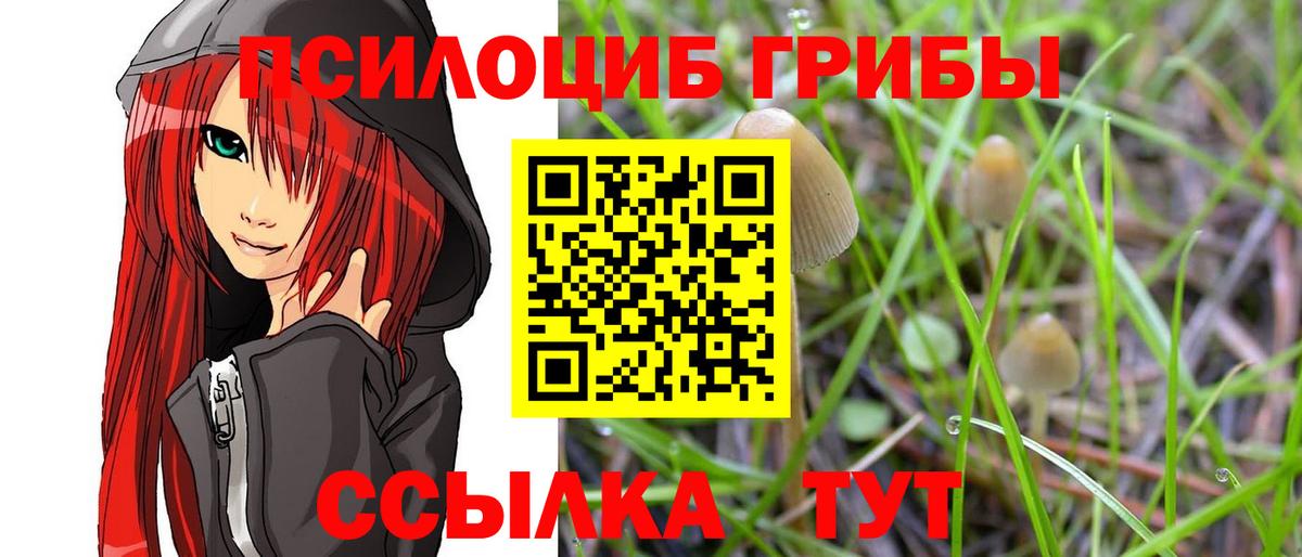 Галлюциногенные грибы Cubensis Новодвинск
